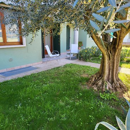 La Casa Sul Parco Appartement Valeggio sul Mincio Buitenkant foto